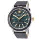 watch image