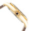 watch image